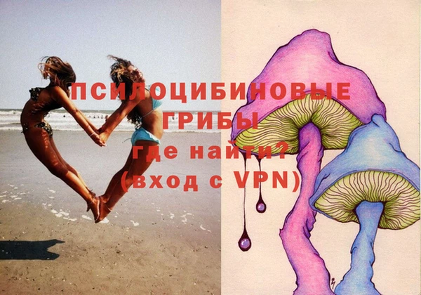 ECSTASY Алексин