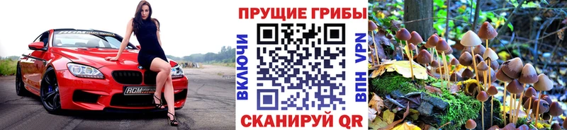 Галлюциногенные грибы Magic Shrooms  Алексеевка 